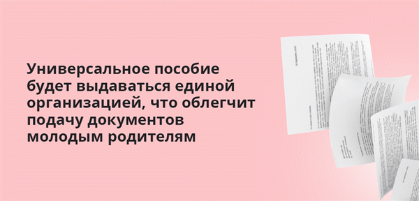 Универсальное пособие будет выдаваться единой организацией, что облегчит подачу документов молодым родителям