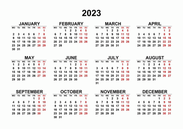 Год какого животного будет в 2024 по восточному календарю
