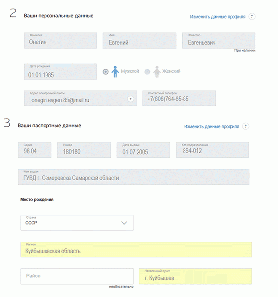Госуслуги - введите персональные данные