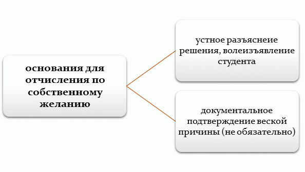 На заметку: за что могут отчислить из школы, колледжа или вуза 😨 | theGirl