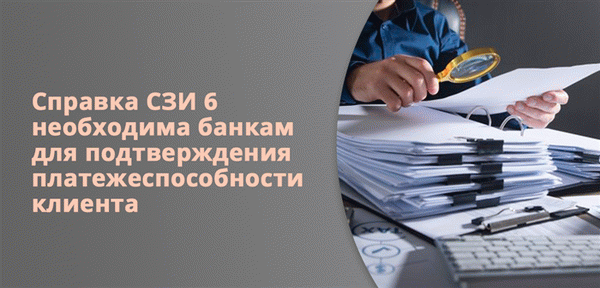 Справка СЗИ 6 необходима банкам для подтверждения платежеспособности клиента