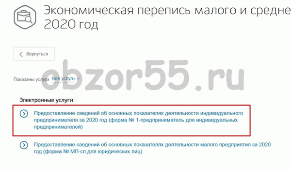 Предоставление сведений об основных показателях ИП за 2020