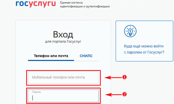 заполнение данных для входа в аккаунт госуслуг