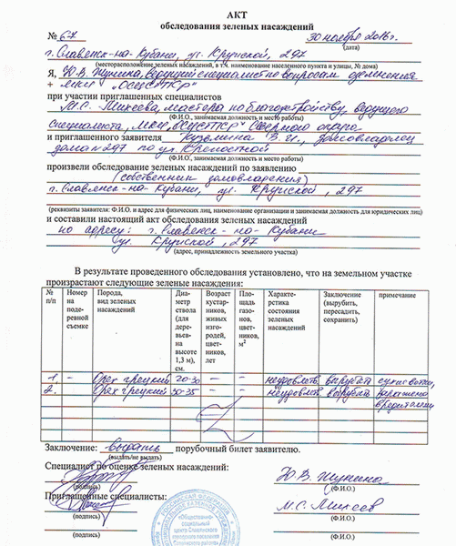 Спил и кронирование деревьев на участке. Что можно спилить, а что нельзя?