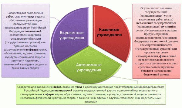 Рис. 1. Типы государственных (муниципальных) учреждений