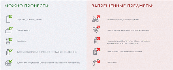 Что можно брать с собой на борт самолета