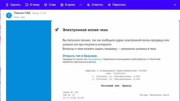 пример чека на электронной почте