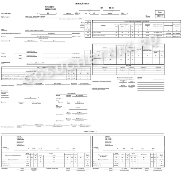 Путевой лист автомобиля 2023 год